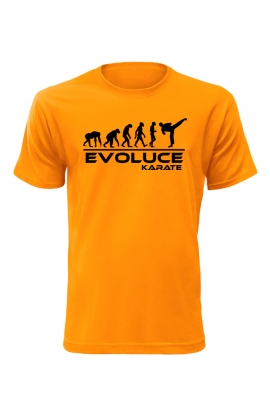 Pánské tričko Evoluce Karate